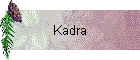 Kadra