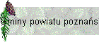 Gminy powiatu poznaskiego