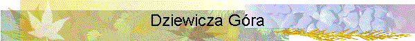 Dziewicza Gra