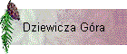 Dziewicza Gra