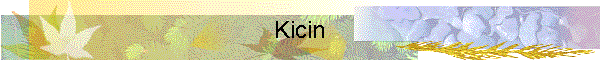 Kicin