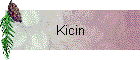 Kicin