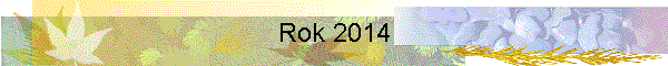 Rok 2014